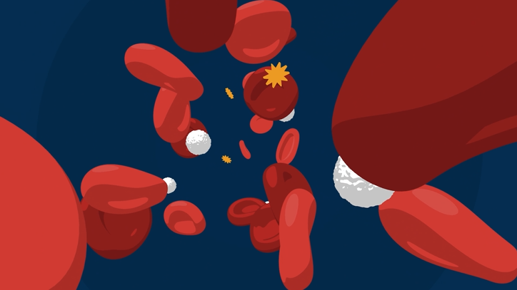 Clip MDS Animation
