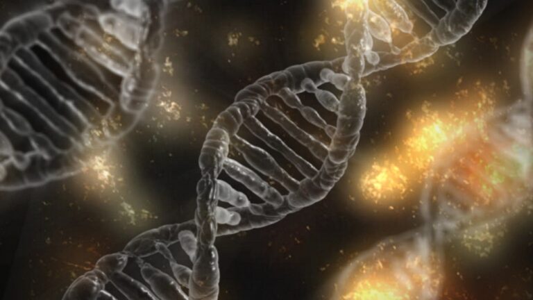 The HARMONY Alliance launches HARMONY PLUS, a new partnership to improve outcomes for patients
