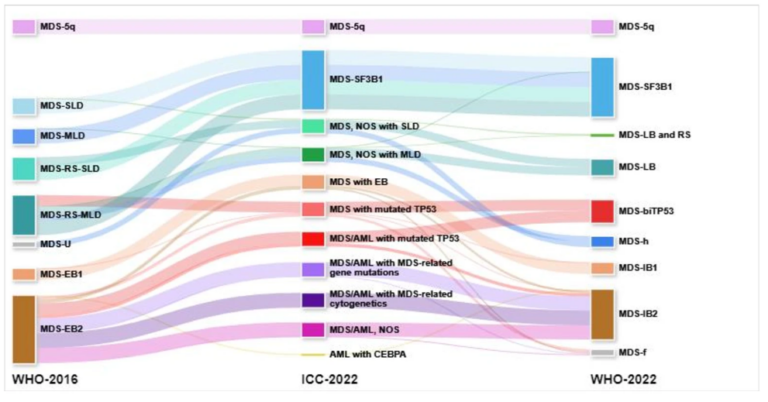 Advancements in Myelodysplastic Syndromes Classification: A Comparative Analysis of ICC and WHO-2022 Systems